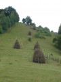 Pré sur les collines de Suplai.