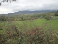 Préaux