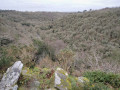 Premier point de vue