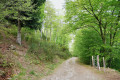 Premier portillon
