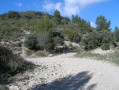 Premiere bifurcation sur la piste AL119 / First fork on track AL119 Premiere bifurcation sur la piste AL119 / First fork on track AL119