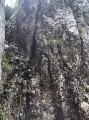 First chimney