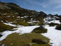 Premières neiges
