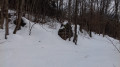 Une boucle en forêt des Coulmes par des sentiers oubliés