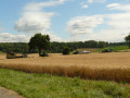 Préparation des moissons Préparation des moissons