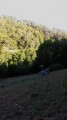 Près à traverser