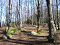 Près de Crémaussel