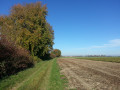 Près de l'ancienne voie ferrée qui traverse la plaine