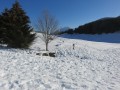Près de la maison du Plateau