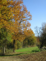 Près de la Mouline d'Azas