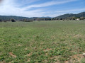 Près de la vignarelle