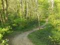 Près du Bassin de la Boissière