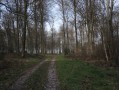Près du Chemin de Saint-Maurice.