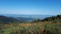 Près du Crêt de la Botte