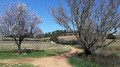 Pierrefeu et la cabane des gardes (GR®51)