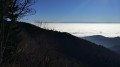 Près du sommet du Molkenrain