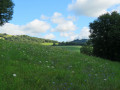 Brousse-le-Château following the Tarn valley