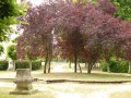 Presles en Brie : ancien bassin
