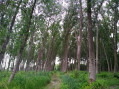 Prévôté de Gorre