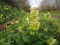 Vallée du Petit Morin - Retourneloup et la Source Saint-Hubert Vallée du Petit Morin - Retourneloup et la Source Saint-Hubert