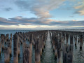 From Port Melbourne Beach to Princes Pier Gatehouse