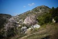 Printemps en hiver