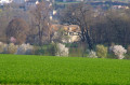 Printemps sur le Logis de La Lèche