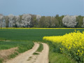 Printemps