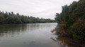 Promenade Bleue, Vue sur la Seine