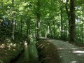 Promenade sous les châtaigniers Promenade sous les châtaigniers