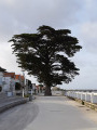 La pointe Sud de l'île d'Oléron au départ de Saint-Trojan