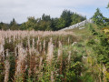 Promenade sur les crêtes