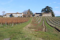 Propriété viticole et ses vignes