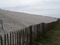 Protection de la dune
