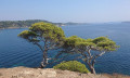 De la Plage des Darboussières à la Calanque du Four à Chaux