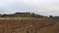 Pt8 -colline de Pichaures