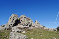 Puig Sallfort Puig Sallfort