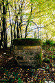 Puits dans les bois.