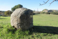 Puits de Joseph