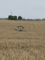 Puits de Puisieux dit "de Charles Péguy"