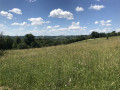 Puy des Horts Puy des Horts