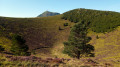 Puy Pariou et Puy-de-Dôme au loin. Puy Pariou et Puy-de-Dôme au loin.