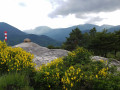 Quand la nature essaye d'adoucir les lieux ...