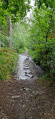 Quand sentier et rivi&egrave;re ne font qu'un