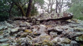 Quatrième dolmen de la Grande Pallières