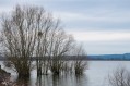 Tour du Lac de Vingeanne