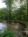 Quellteich am Sirchinger Wasserfall