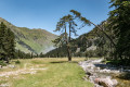 En vallée du Marcadau, du Pont d'Espagne au refuge Wallon