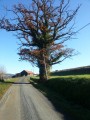 quelques tronçon de route mais peu de passage quelques tronçon de route mais peu de passage