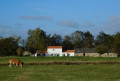 Marais, cigognes et ancienne abbaye à l'Île Chauvet Marais, cigognes et ancienne abbaye à l'Île Chauvet